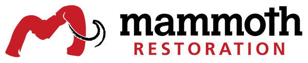 Mammoth Restoration Scottsdale Arizona